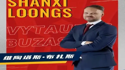 亚洲男网之巅，张之臻书写辉煌新篇！