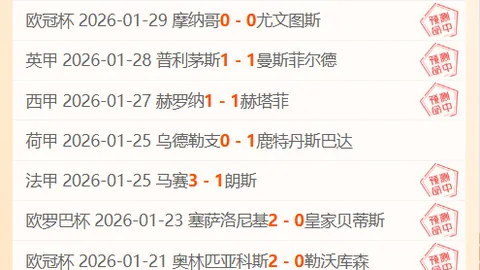 李诗沣接棒安赛龙，世界羽联换将风波再掀波澜！